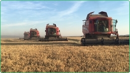 G&aring;rd p&aring; 1400 ha Med Vanning til salgs i Romania